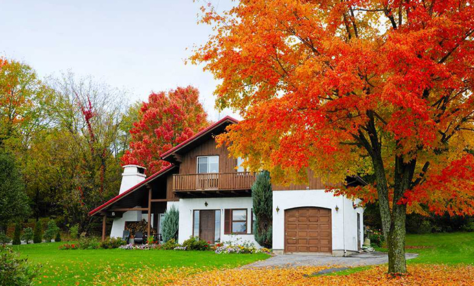 祝贺家居公司股东Y先生成功喜获魁省投资移民项目基金名额